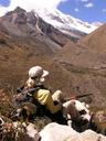 Ashe enjoying the scenery from our trail into the mountains.